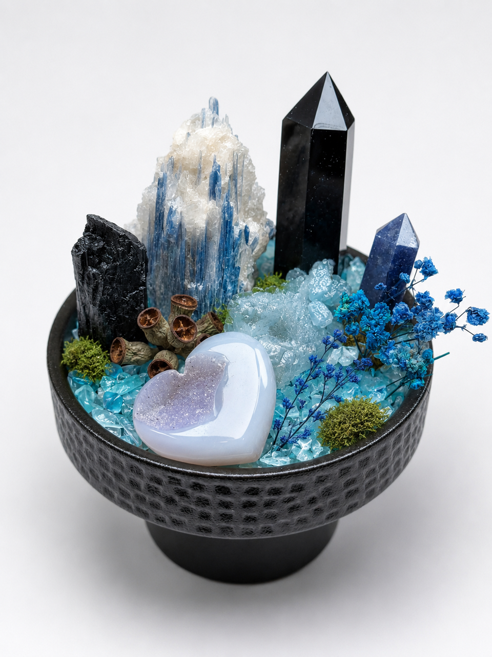 Deep Sea Sanctuary