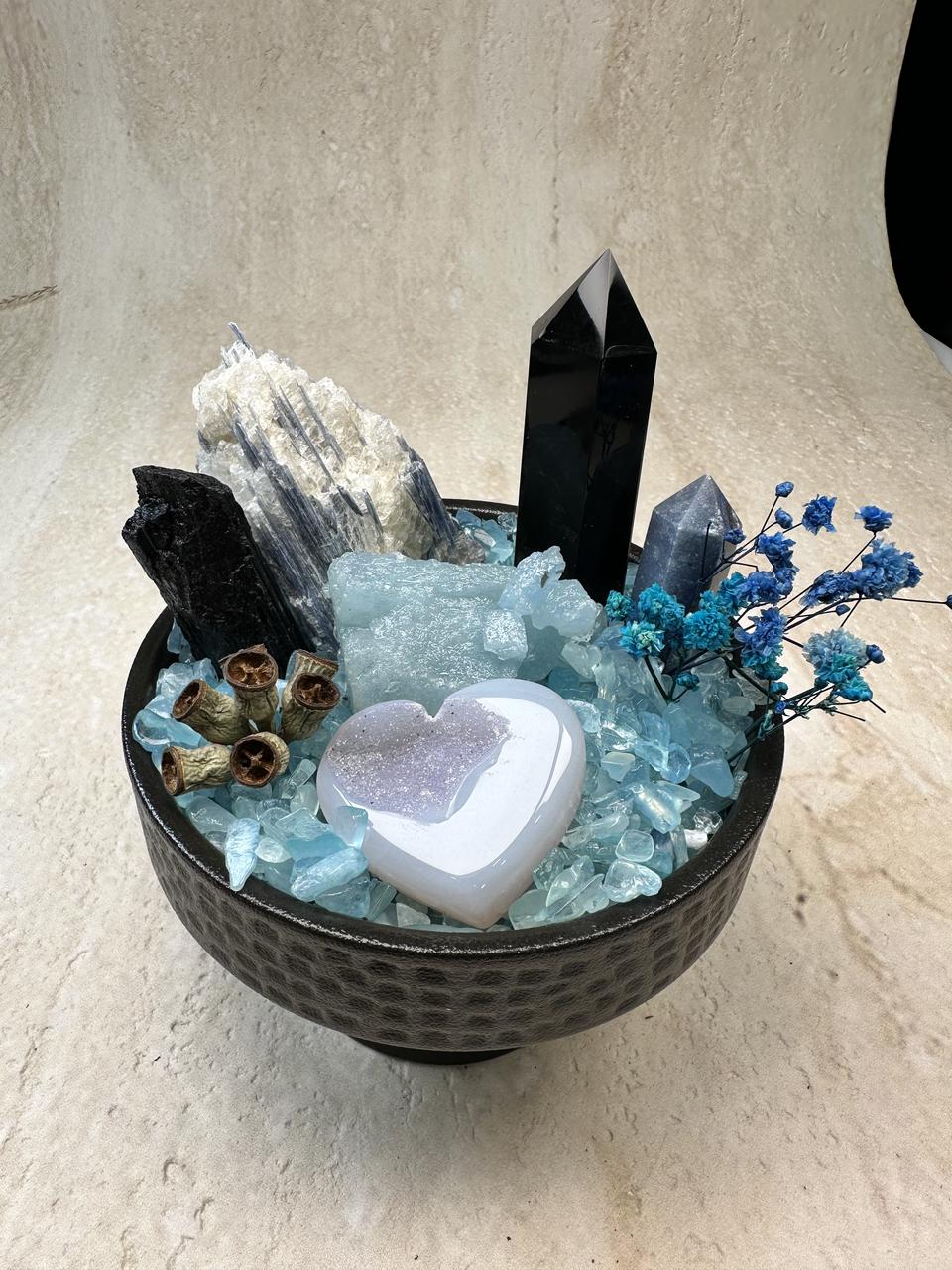 Deep Sea Sanctuary